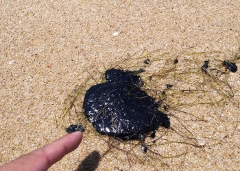 Marinha não encontra novas manchas de óleo no litoral piauiense